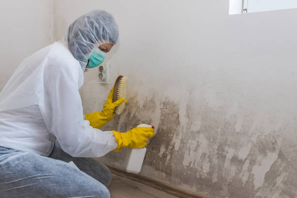 Best Bathroom Mold Remediation in Crowley, TX