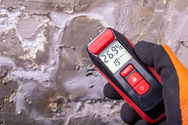 Best Post-Remediation Services in Crowley, TX