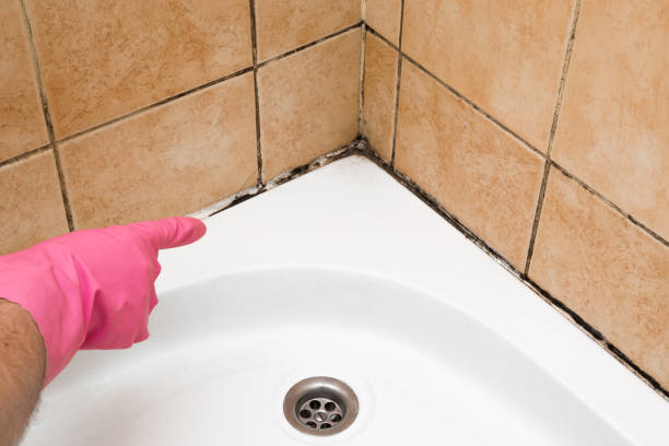 Best Mold Testing and Inspection Services in Crowley, TX